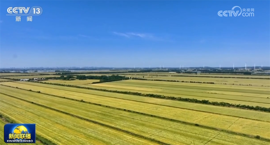 必一运动：数据彰显经济运行强劲脉动中国高质量发展“枝繁叶茂”行稳致远(图5)