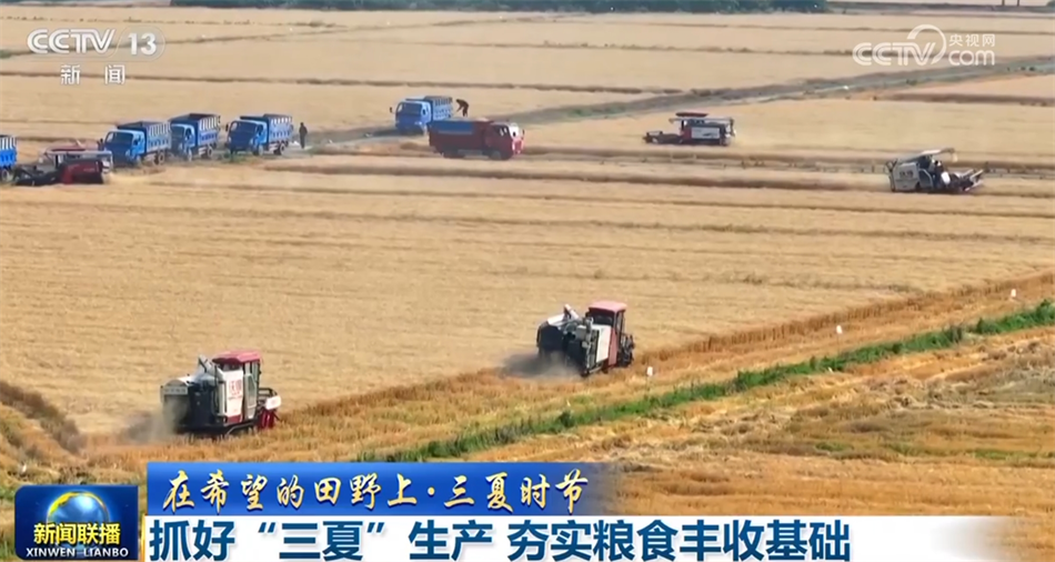 必一运动：数据彰显经济运行强劲脉动中国高质量发展“枝繁叶茂”行稳致远(图4)