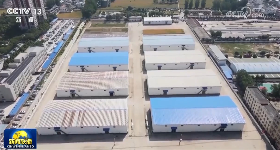 必一运动：数据彰显经济运行强劲脉动中国高质量发展“枝繁叶茂”行稳致远(图6)