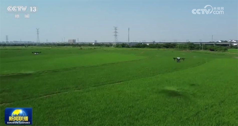 必一运动：数据彰显经济运行强劲脉动中国高质量发展“枝繁叶茂”行稳致远(图7)