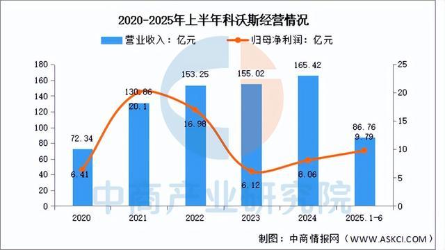 2025年中国扫地机器人行业市场前景预测研究报告（简版）(图8)