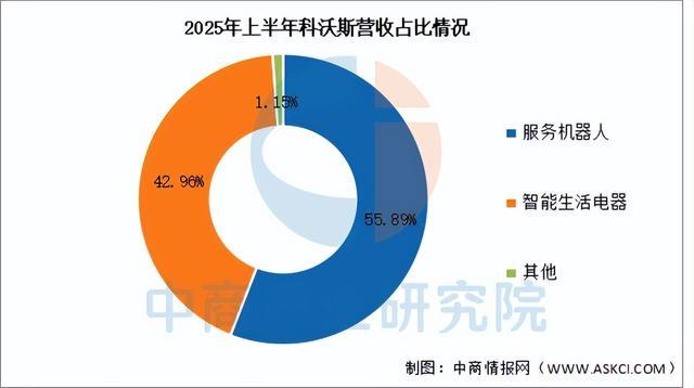 2025年中国扫地机器人行业市场前景预测研究报告（简版）(图9)