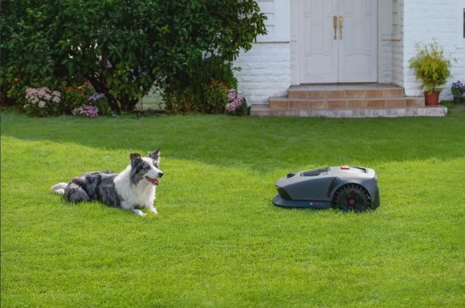 割草机器人出海大势已成！1-7月出口额132亿元中国卖超152万台(图6)