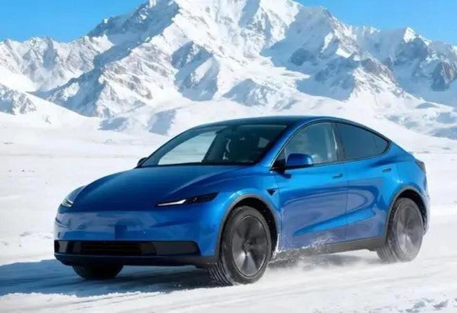 特斯拉死磕纯视觉智驾：不是固执是算透了这盘大棋(图3)