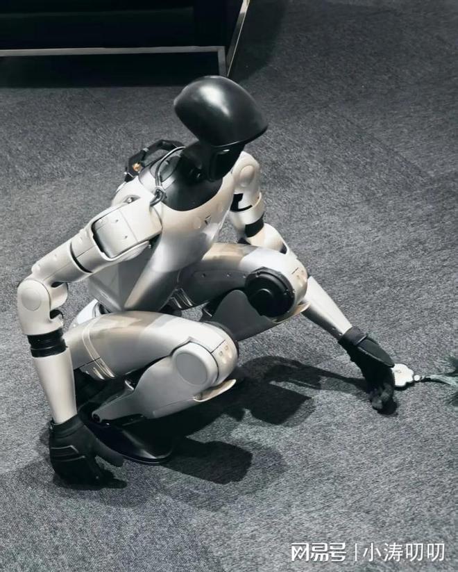 印网友发炒作：中国人形机器人在中印实控线巡逻！我网友乐了(图12)